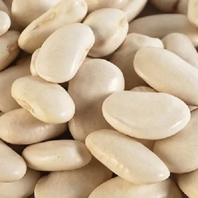 dry pinto organic sugar speckled butter beans for sale