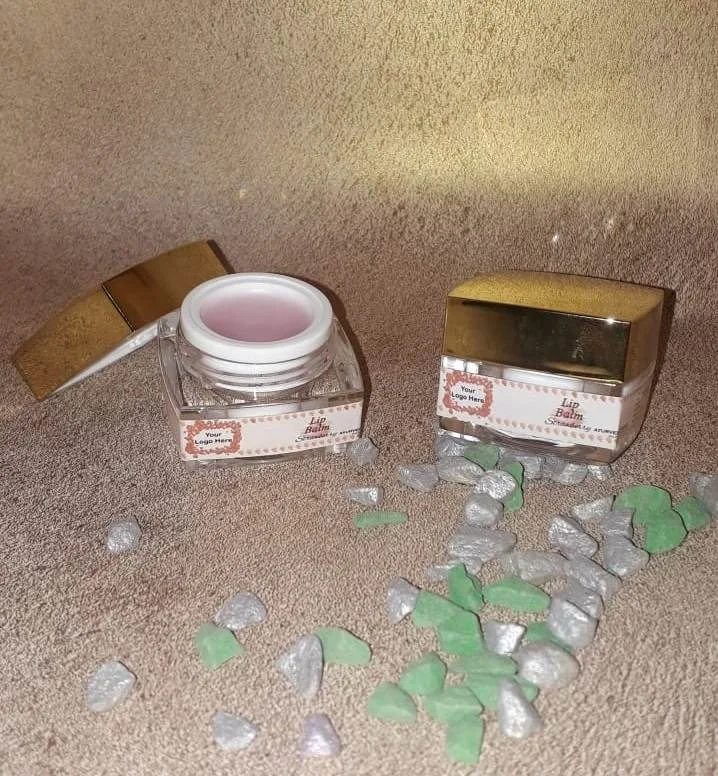 Bulk Supplier of Apple Lip Balm From India