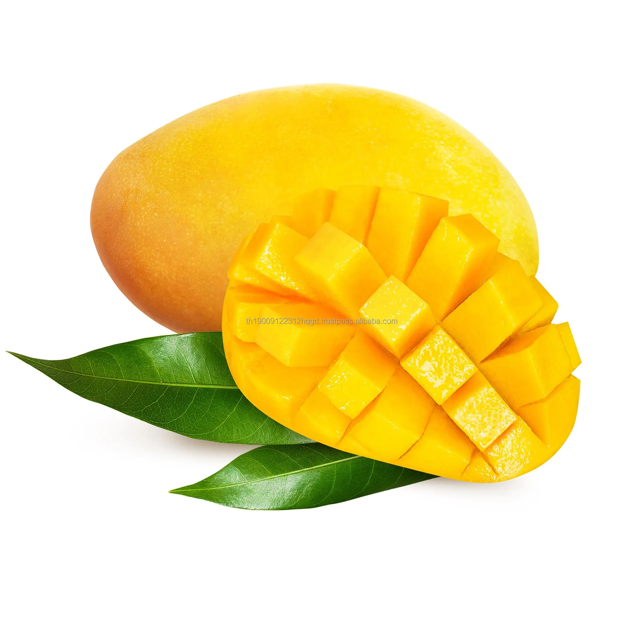 Thailand Premium Fresh Sweet <b>Mangos</b> - Best Price High Quality <b>Mango</b> (Namdok...