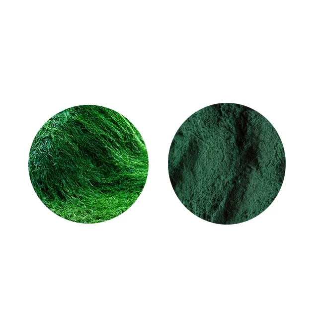 
 Поставка от производителя, порошок спирулины в таблетках, органические стандартные диетические добавки  