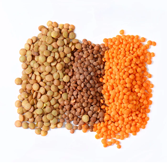 red lentils masoor dal pulses green lentil green/red/black/brown