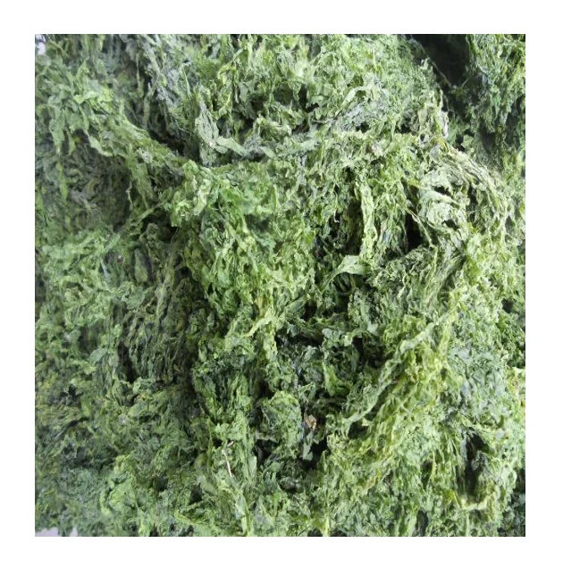 Good Feed Vitamins and Minerals for Cattle in Green Algae in 99 Gold Data with Cheap Price - Hot Sale Additive Animal Feed
