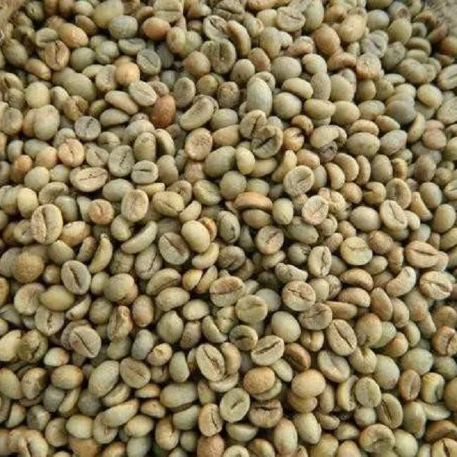 Unroasted good quality Robusta coffee beans