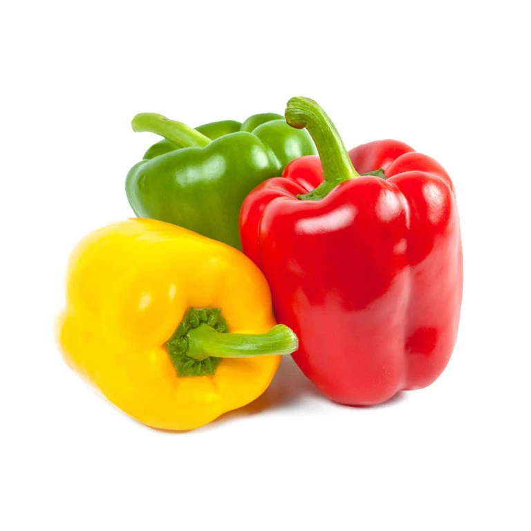 Fresh Bell pepper/ Capsicum from Vietnam - NHP Foods- Ngan Hoa Phat Co., Ltd