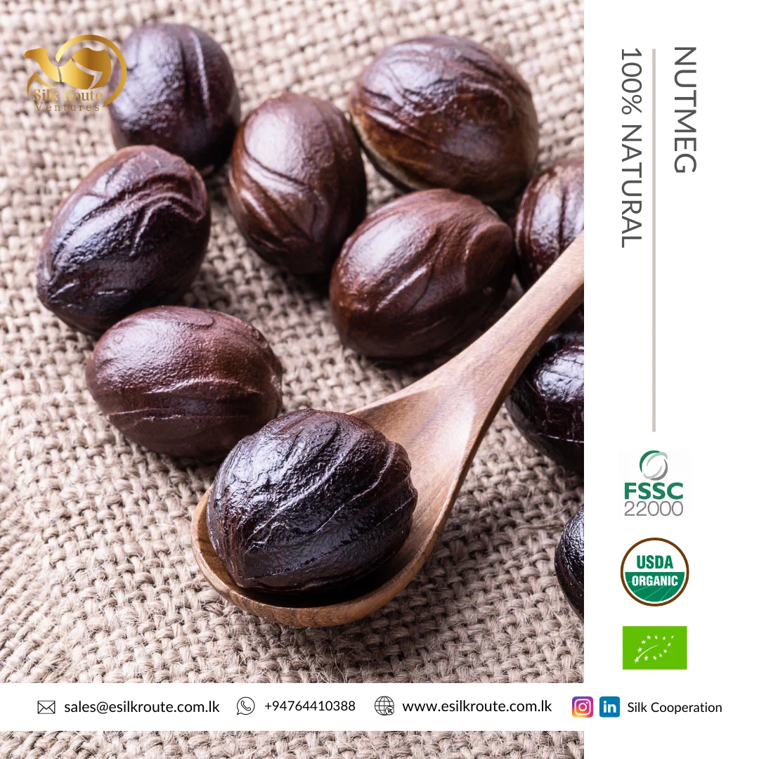 Специи одиночные и травы, сушеные натуральные органические, Шри-Ланка, чистый свежий длинный мускатный орех целиком, распродажа