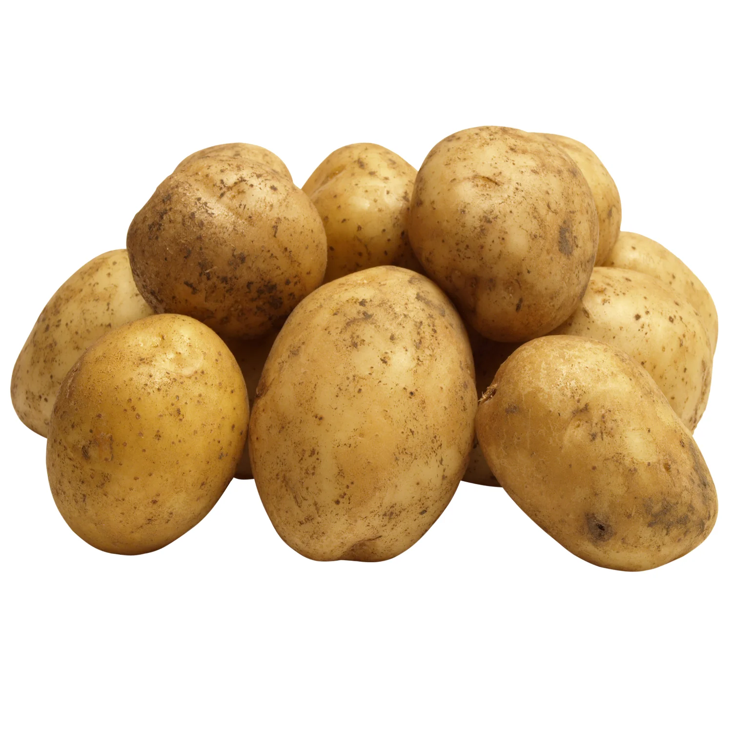 hot sale organic export quality fresh potatoes supplier yellow