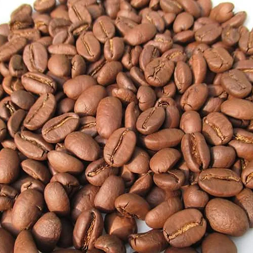 made in vietnam wholesales beans coffee green bean coffee