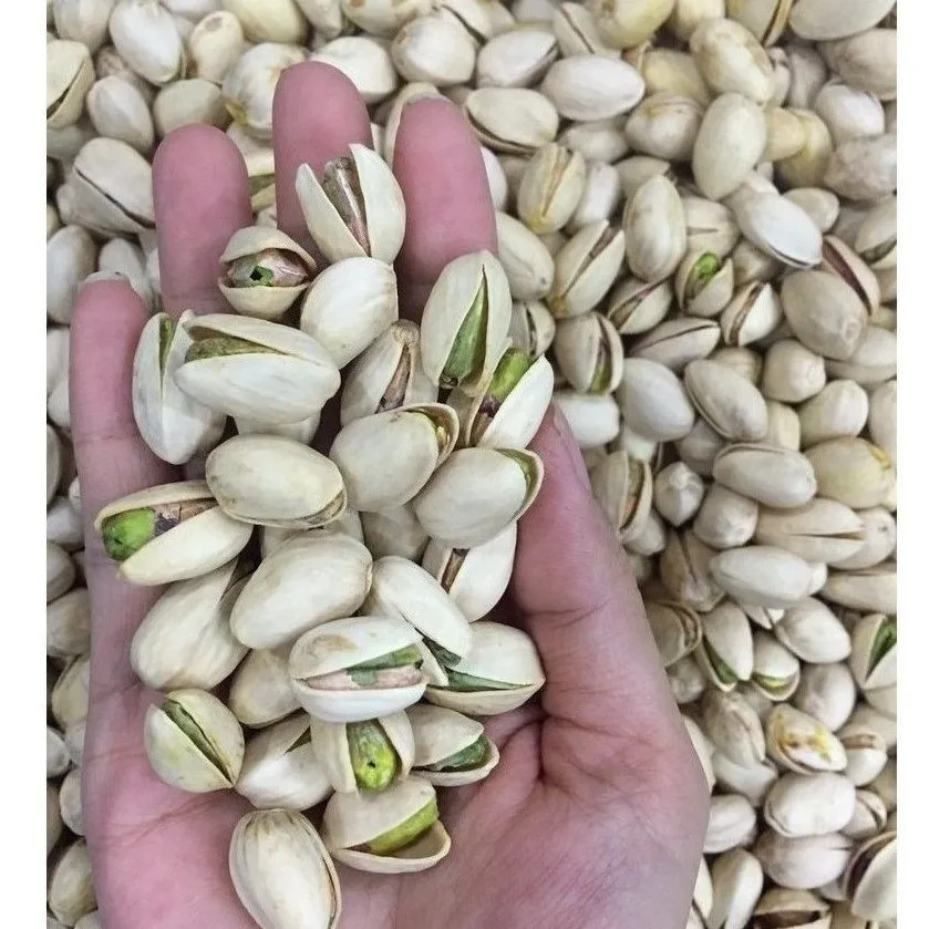 100 Pistachio Bulk Professional Pistachio Nuts Ready To Ship Raw   U95cff4099b454bffa30dc71729a2e3fdD 