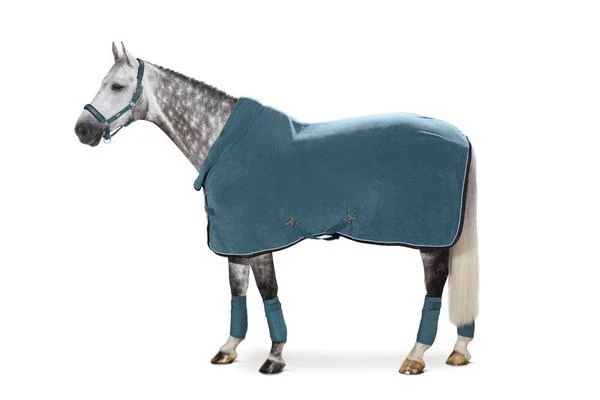 Лошадиное снаряжение, хлопковые зимние товары для верховой езды, водонепроницаемые коврики для лошадей, покрывало от canleo international