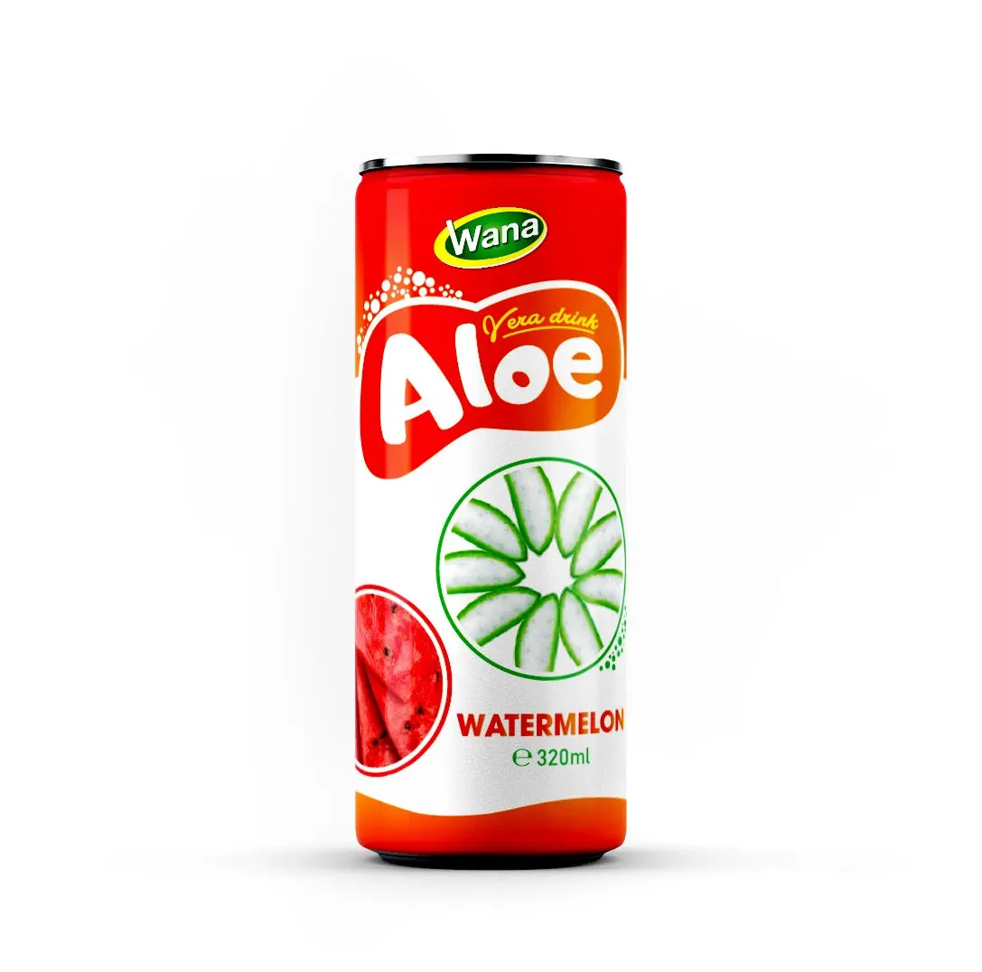 natural aloe vera juice drink with pulp and fresh watermelon