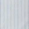Blue Stripe