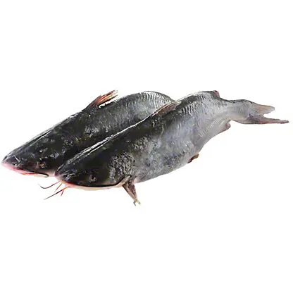frozen catfish/bullhead w/r (clarius fuscus) - buy frozen cat