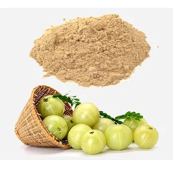 High Grade 100% Fresh Amla Powder Hot Selling Organic Amla Powder / Amla Fruit Extract Powder At Cheap Price