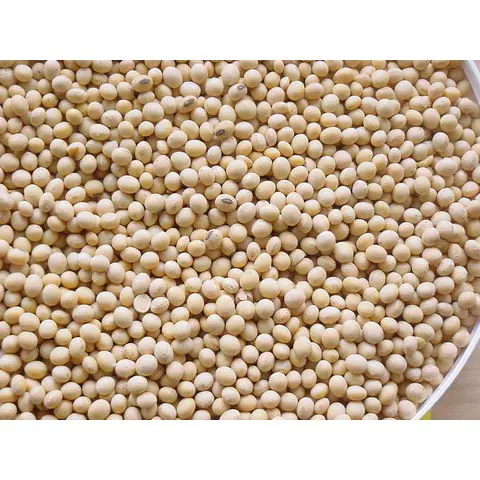 Soybeans-Organic (2).jpg