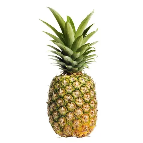top grade delicious fresh pineapple fruit from munster farms