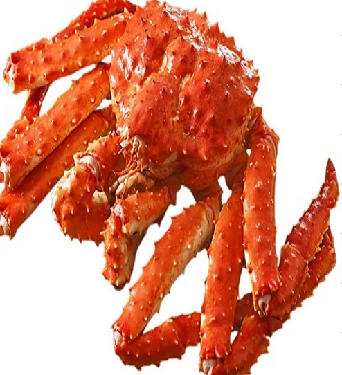 6 (1).png