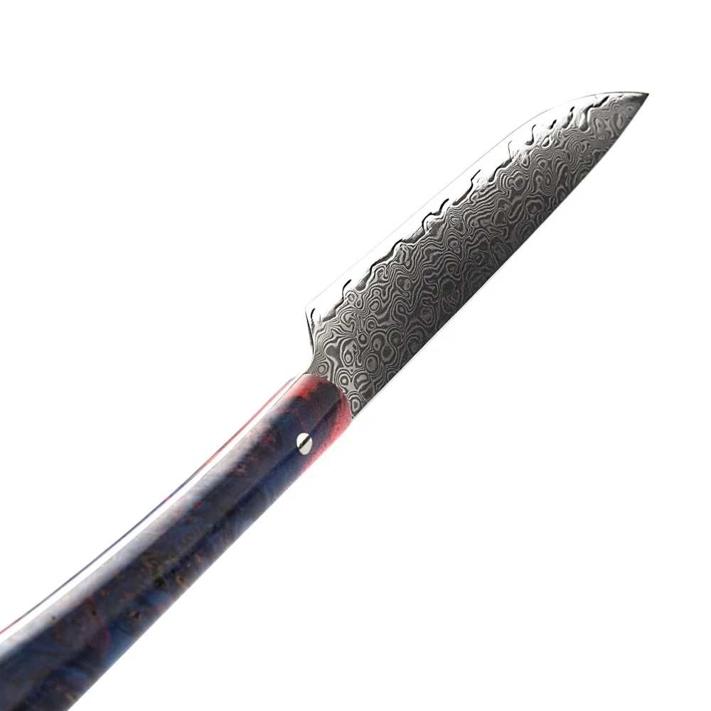 Luxury Japanese Vg10 Damascus Steel Steak Knife Professional Chef's