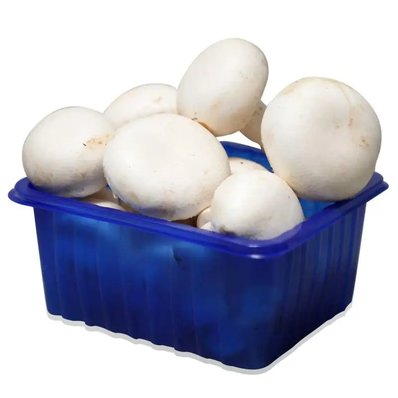 Fresh Food Biodegradable Packing Box for Mushroom PP Plastic Tray