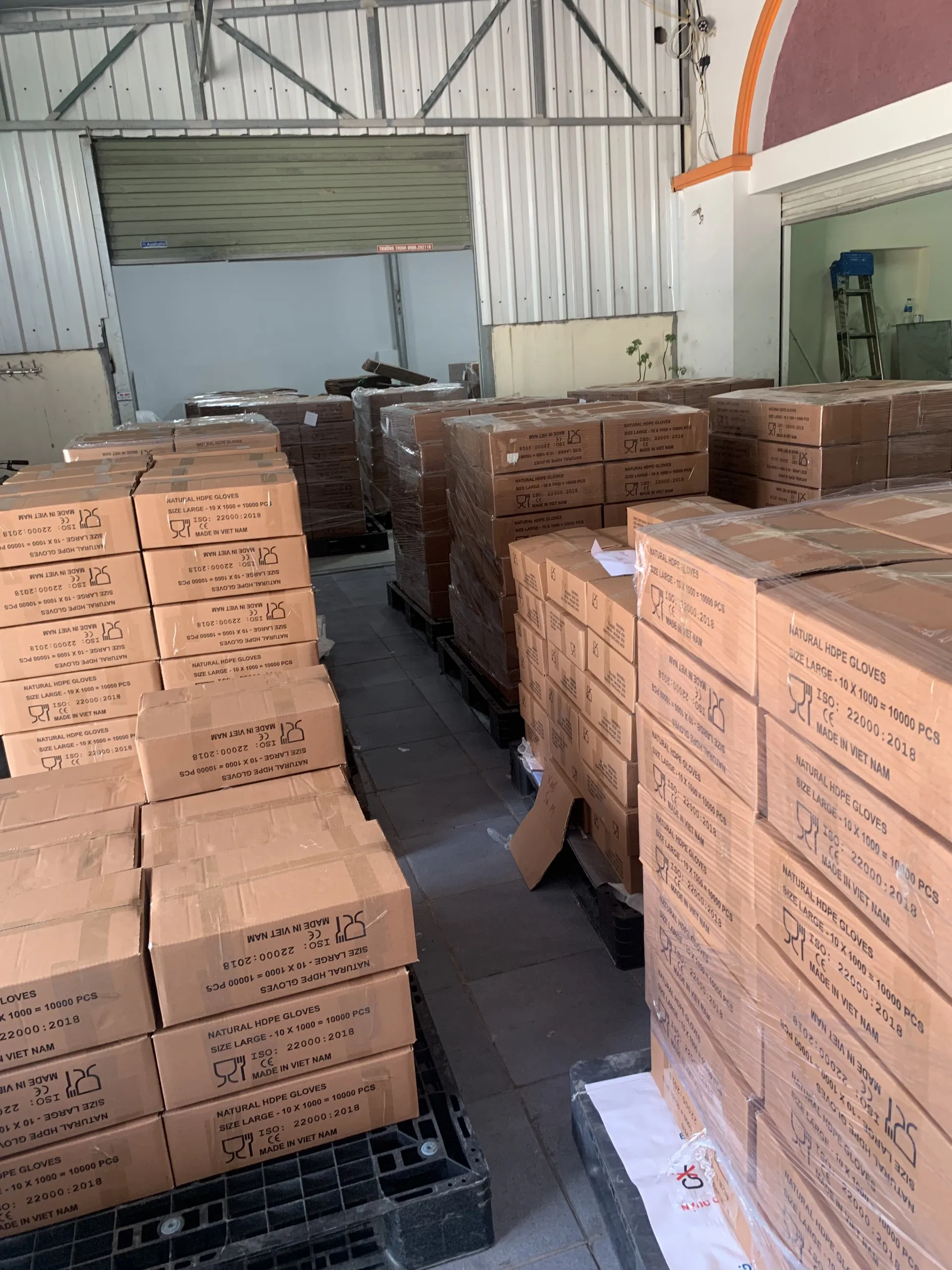 Disposable Plastic Gloves Cleaning Kitchen Gloves Waterproof Biodegradable Pe Gloves With Ce