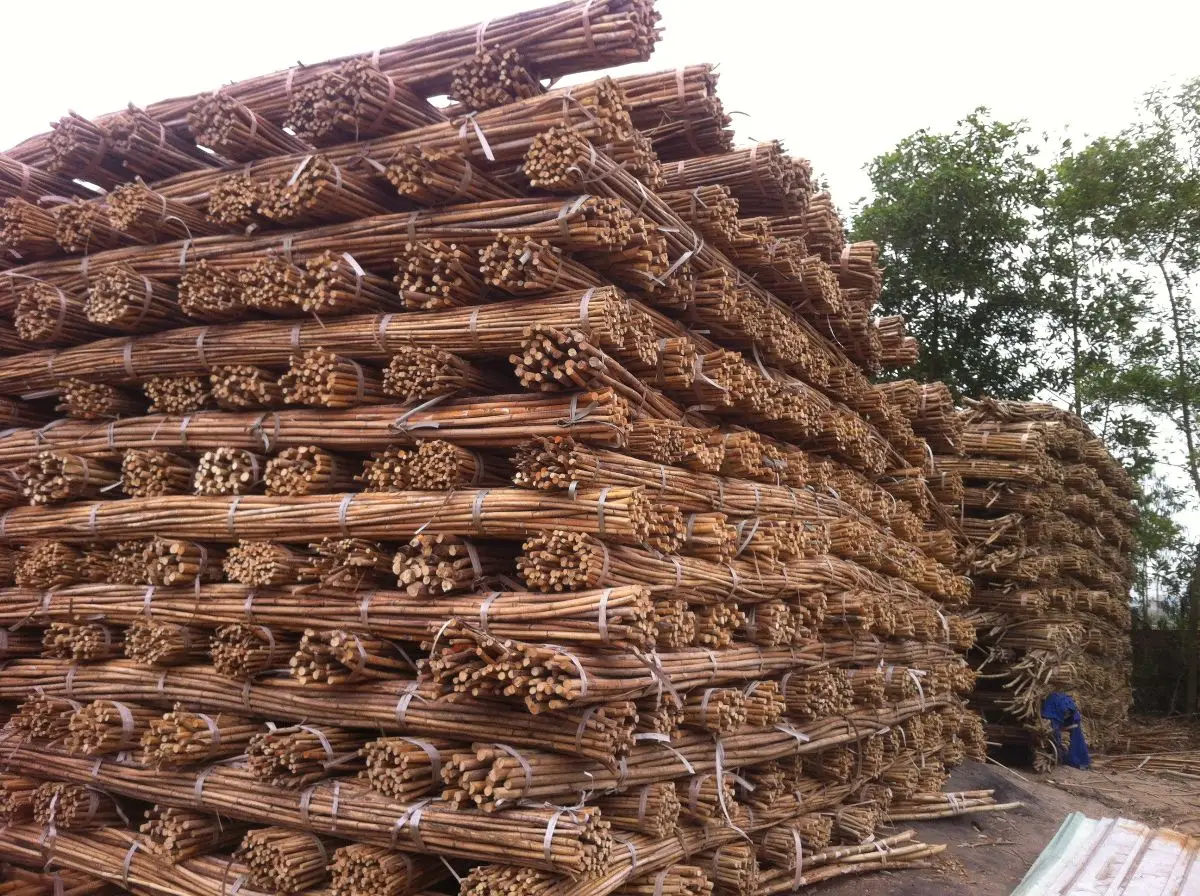 Vietnam Natural Malacca Rattan Canes / Rattan Poles Raw Material For Rattan Furniture Buy