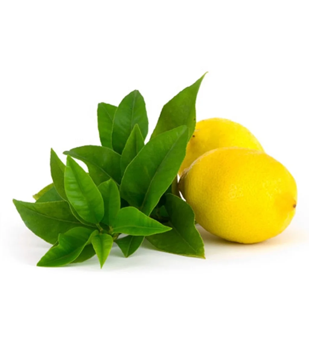 Лимон вербена. Вербена лимонная. Вербена, цитрусовый. Лимон и Вербена. Лимон и зелень.