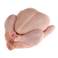 1519881072277.png