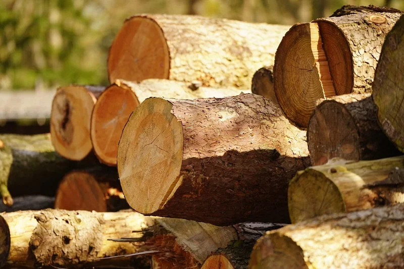 timber1.jpg