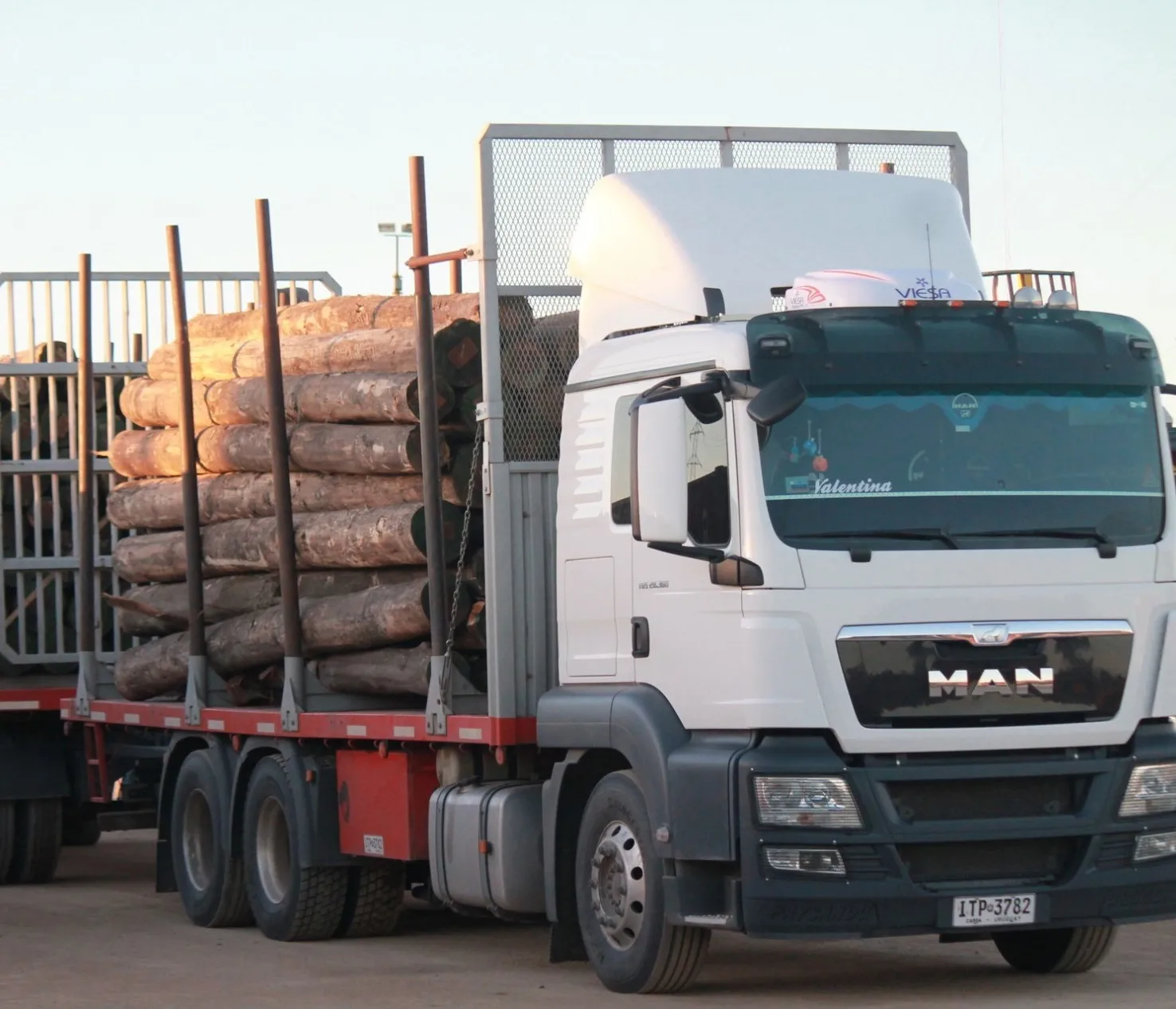 Factory direct High quality Oak  Logs