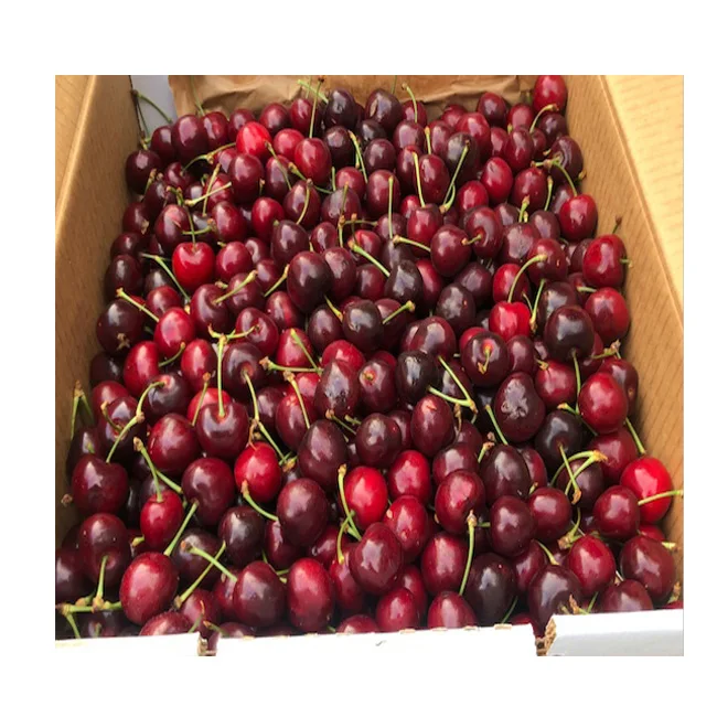 Cherry 2.jpg