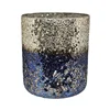 Silver / Dark Blue