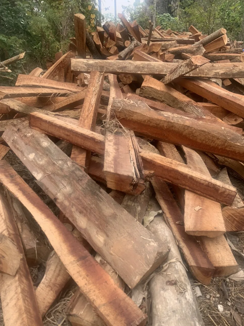 LOGAN-KAYA-ACACIA дерево высокого качества из вьетнама для