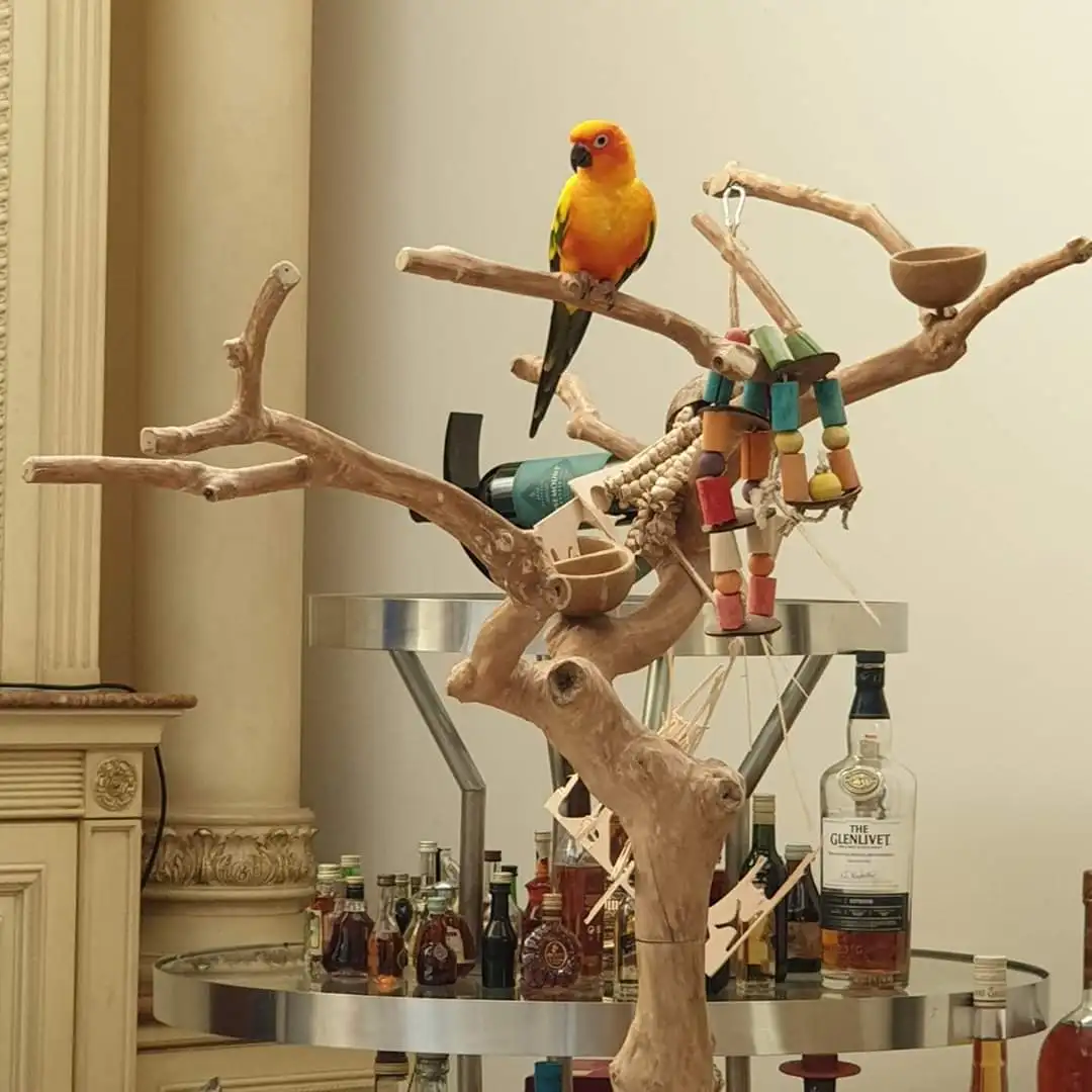 jogo papagaio madeira, Epoleiro para treinamento pássaros, Poleiro  reutilizável para jogos pássaros, poleiros portáteis para árvores madeira  para