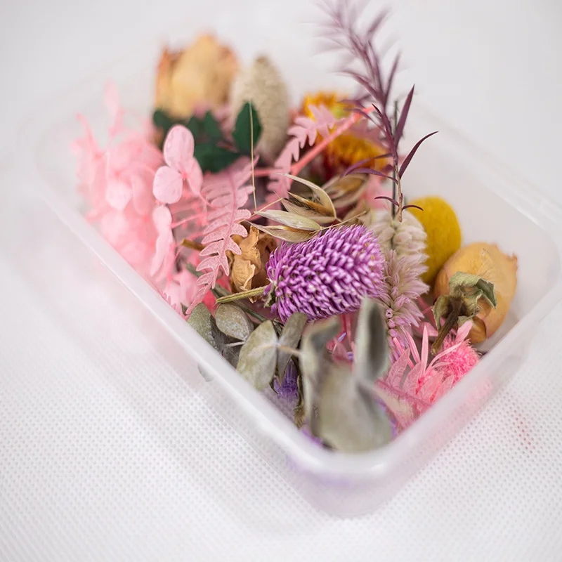 Diy Dried Flower Storage Box For Diy Teaching And Dried Flower Crafts ...