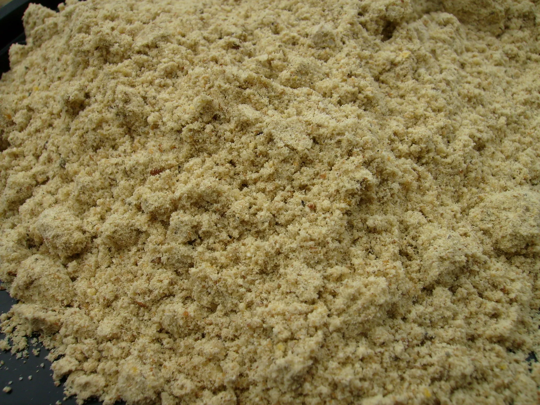 P5040029_resize.jpg