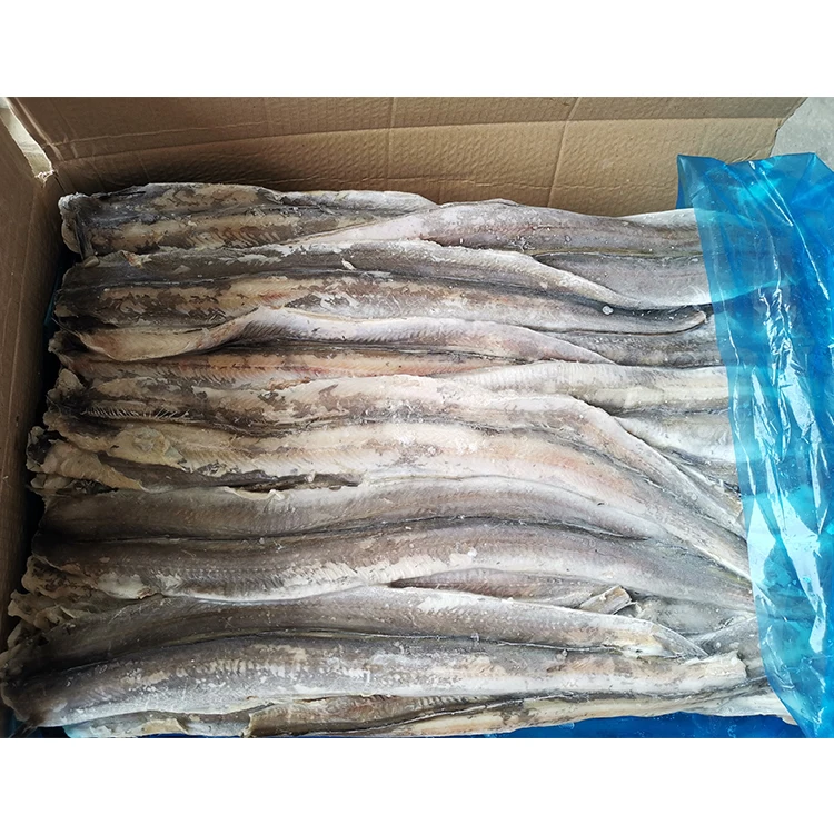 Frozen Roasted Eel Fish Eel,Conger Buy Frozen Conger Eel Fish Best