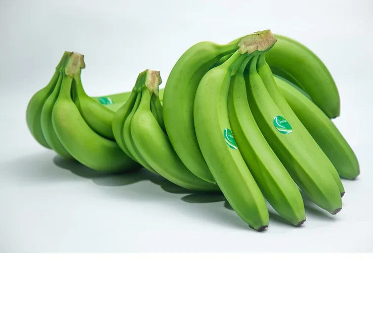 Banana buy. Зеленые бананы. Большой зеленый банан. Вьетнамские бананы. Burmar банан зеленый.