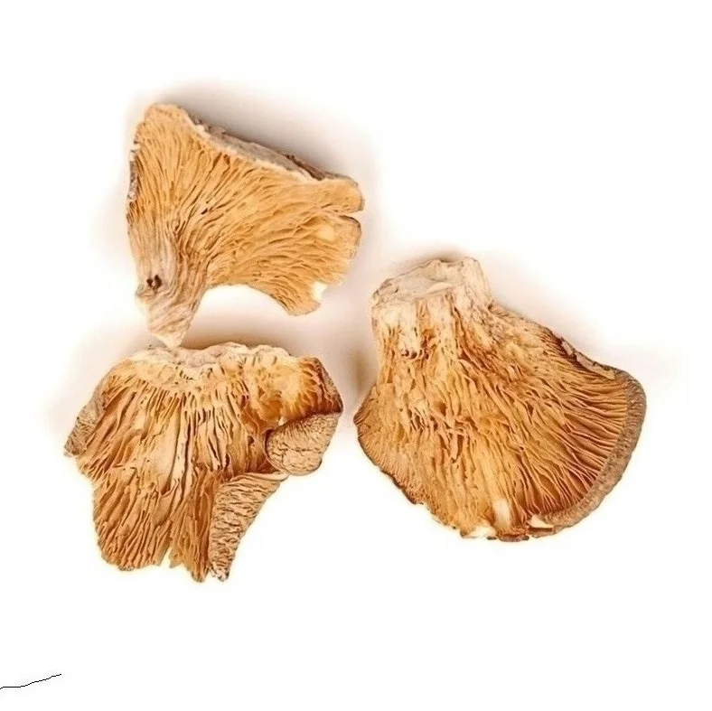 autoclavable pp plastic spawn bottles cups grow mushroom - yuy