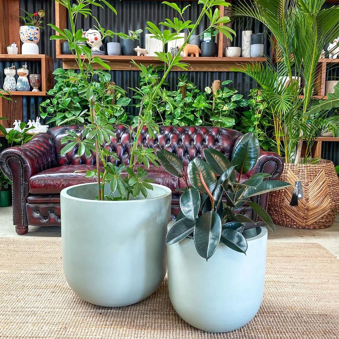 indoor plant potting soil Indoor Plant Potting Soil - Puck