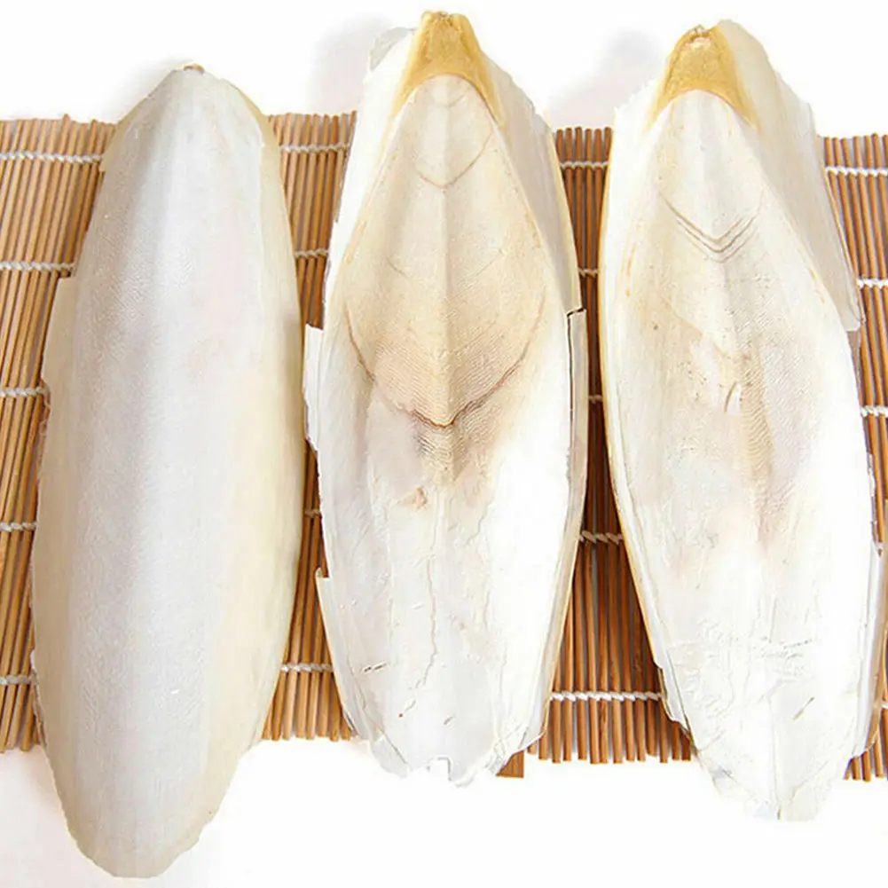super healthy cuttle fish bone for treatments of wounds,ulcers