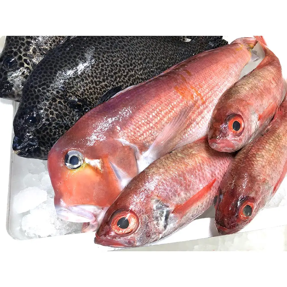 High Class Cooking Air Seafood Yellow Croaker Tilapia Cod Fish Price Buy Cod Fish Price Tilapia Fish Price Yellow Croaker Fish Price Product On Alibaba Com