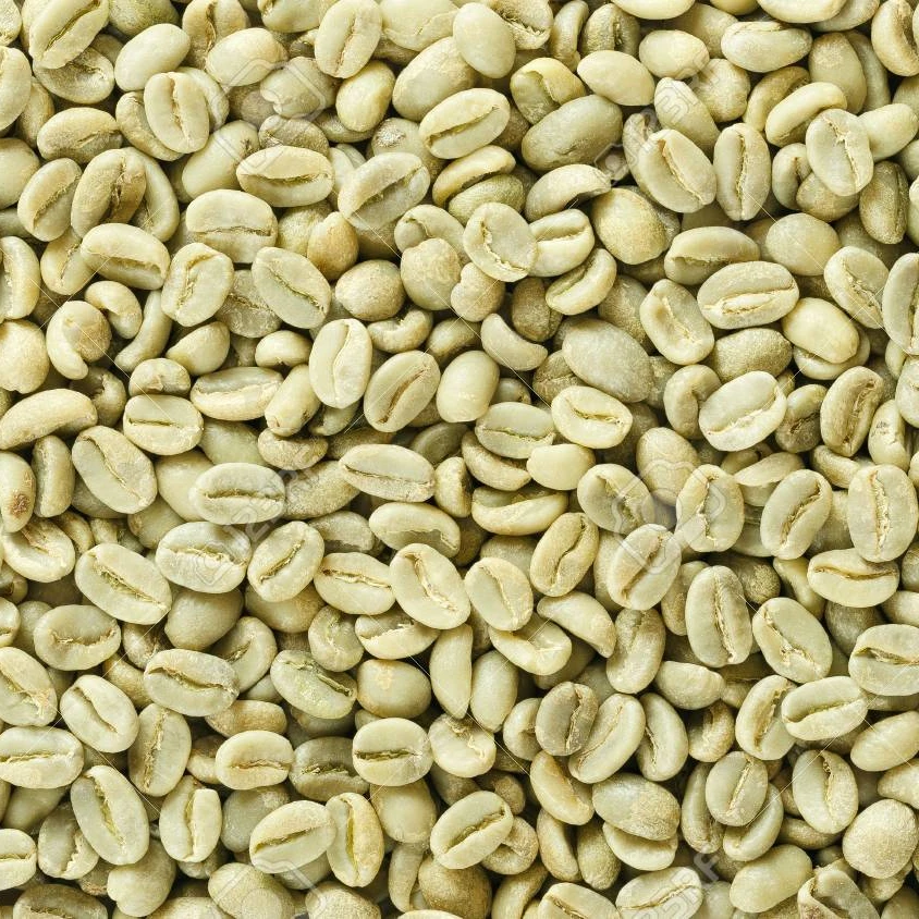 Зеленый кофе в зернах arabica по хорошей цене, высококачественный кофе от вьетнамского сельскохозяйственного бренда