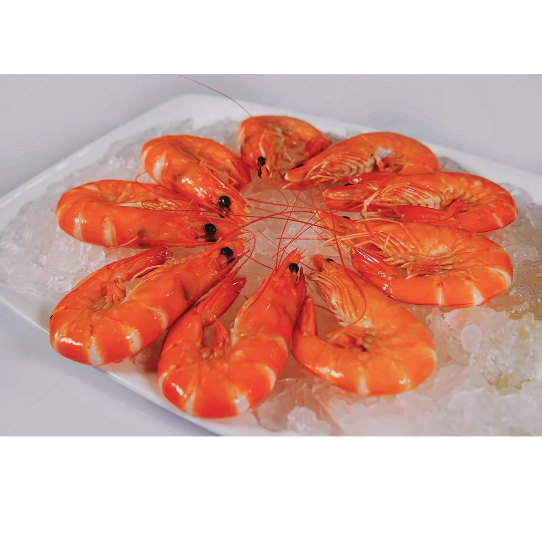 exporting frozen shrimp iqf frozen vannamei white shrimp (cooked