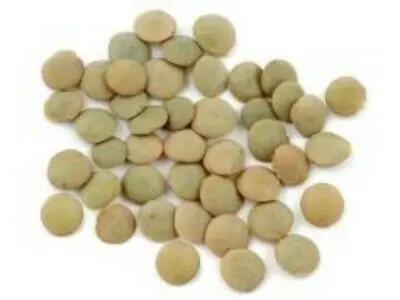 Green lentils3.jpg