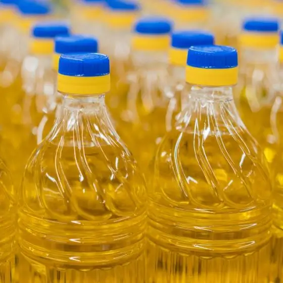 crude and refined rapeseed oil best quality