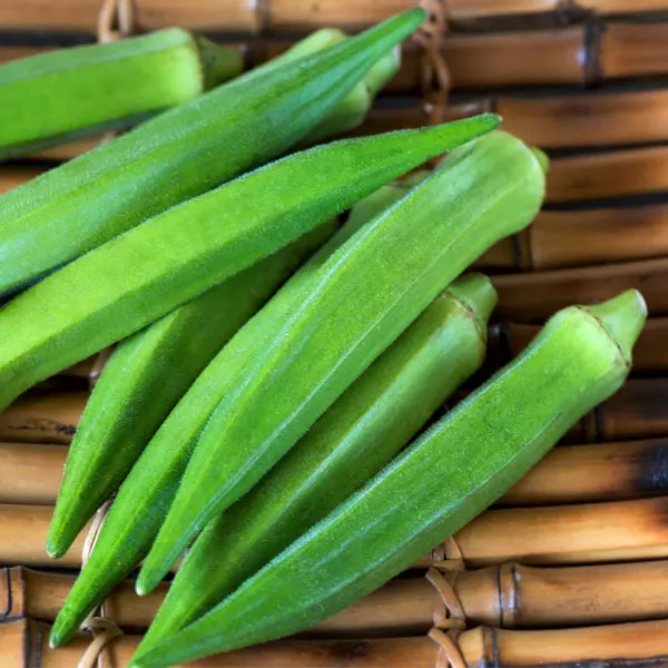 quality fresh okra (lady finger) now available for export on 30%