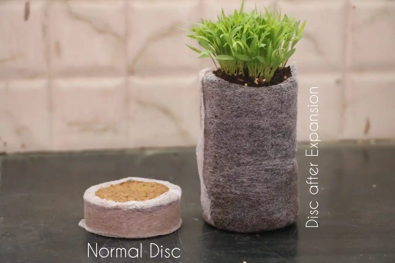 ROUND COCO PEAT DISC for SEED GERMINATION - SEED STARTER SOIL PLUGS - SEEDLINGS INDOORS - KITCHEN GARDENING