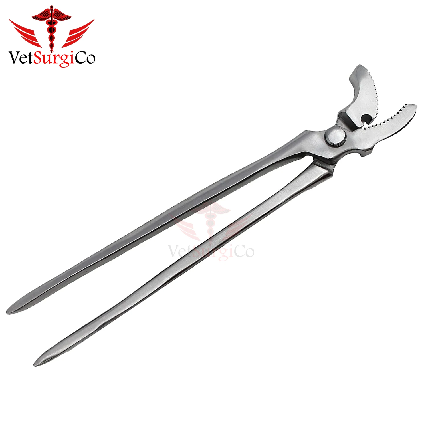 Hoof Curved Jaw Clincher,Farrier Tool Hoof Nail Clincher Vanadium Steel