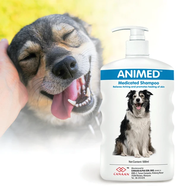 Can I Use Medicated Shampoo On My Dog
