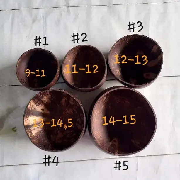 COCONUT SHELL BOWL Real Image Manufacture Wholesale Custom LOGO  and  Spoon Set Salad Bowl Dinnerware Tableware Natural Home