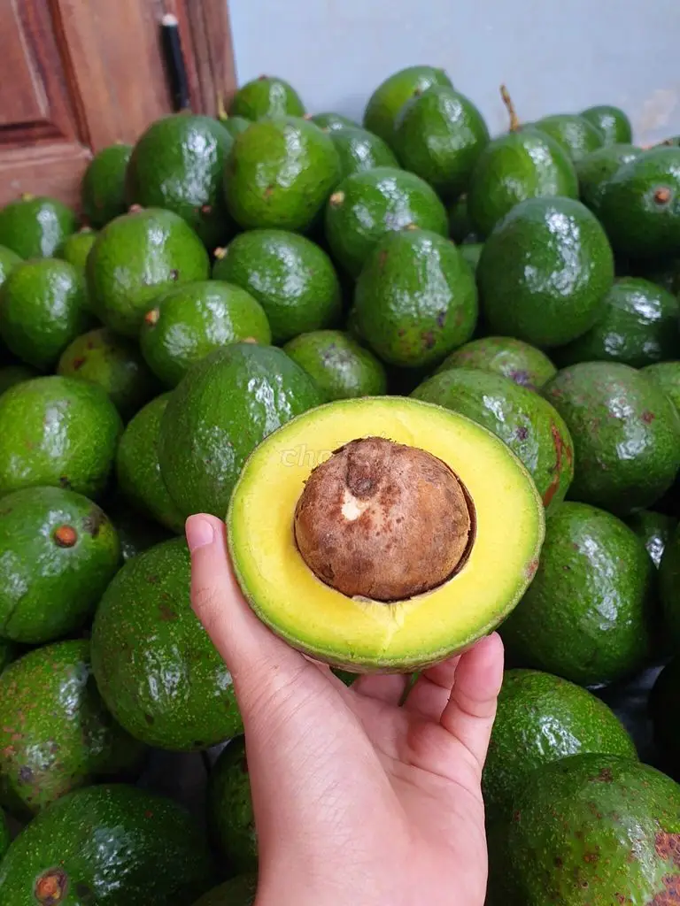 Avocado From Vietnam - Booth Avocado For Export With The Best Price ...